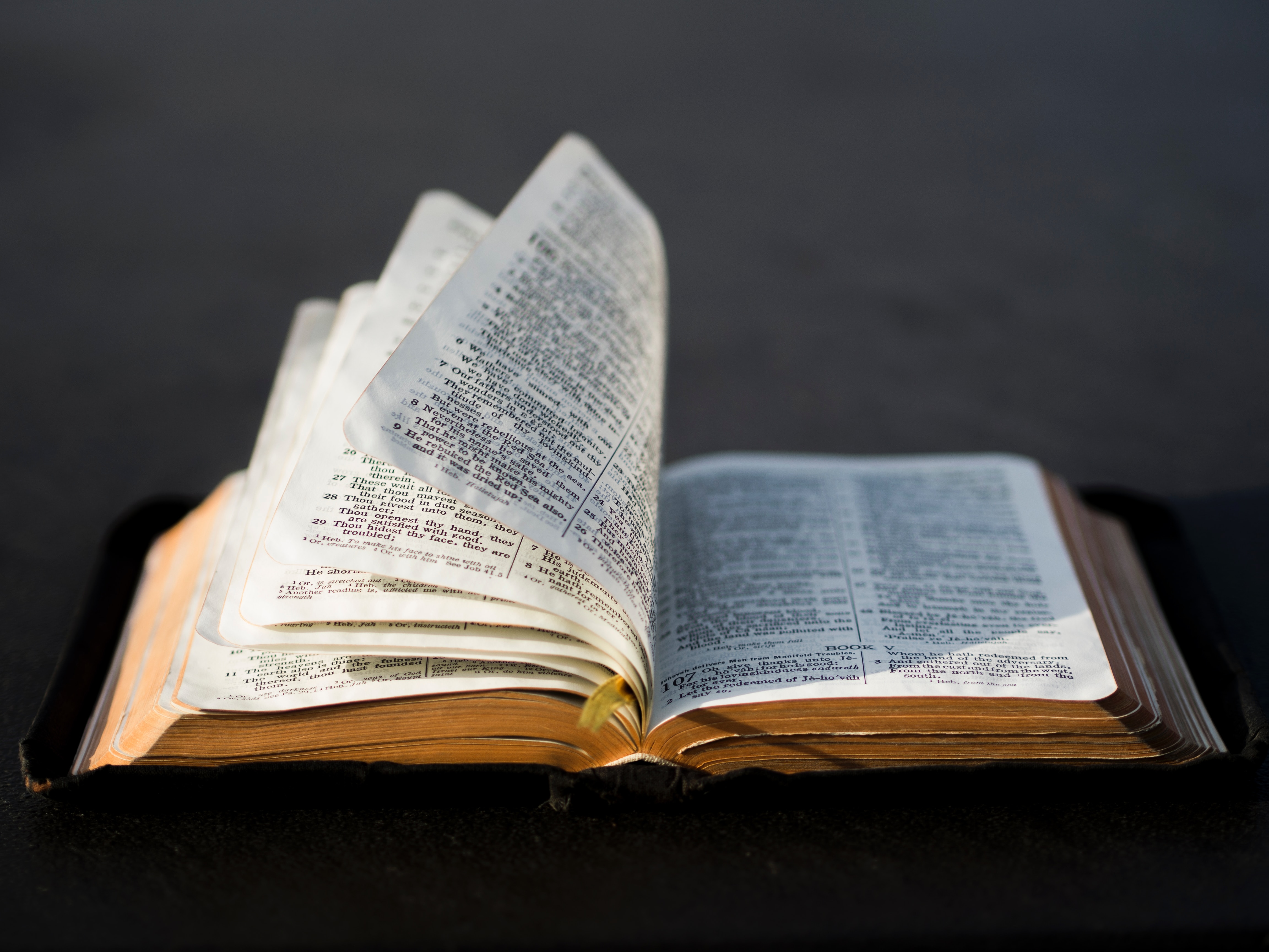 Wednesday night Adult Bible Study